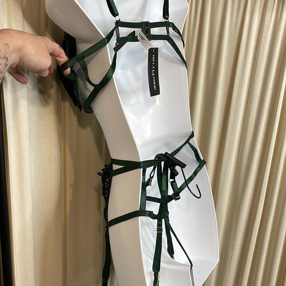 NWT- 3 PC SILKY GREEN LACE LINGERIE SET BRA, HIGH WAISTED G THONG & GARTER L/XL - Picture 6 of 13